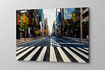 Obraz Priechod pre chodcov 1850